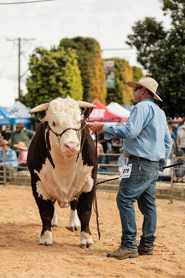 Beef Casino Erfahrungen - Echte Bewertung und Test von Beef Casino Deutschlands in Germany